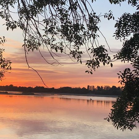 Вілла Les Roses De L'Olivier Les Rosiers-sur-Loire Екстер'єр фото