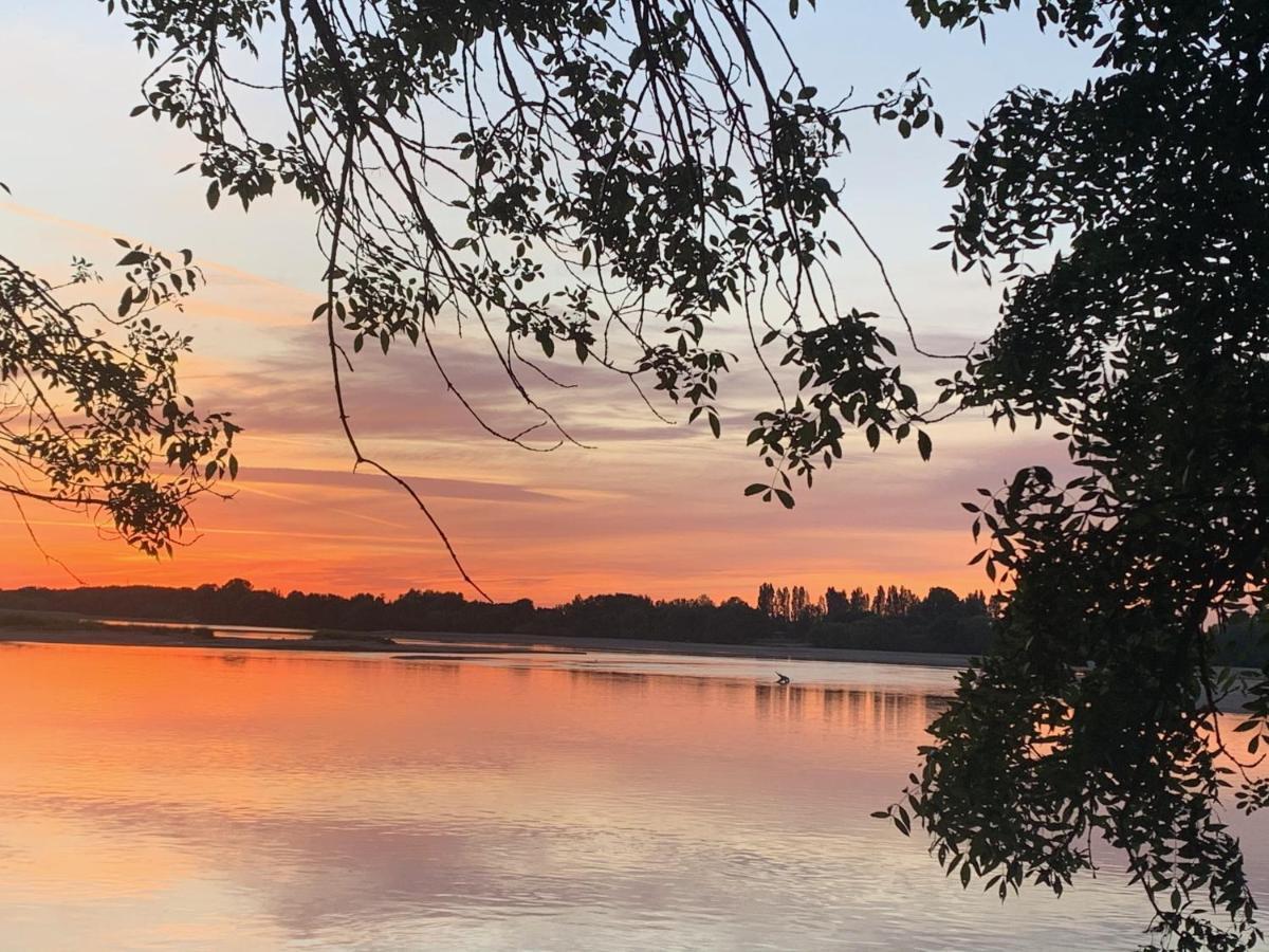 Вілла Les Roses De L'Olivier Les Rosiers-sur-Loire Екстер'єр фото